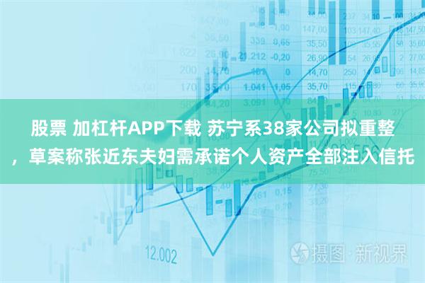 股票 加杠杆APP下载 苏宁系38家公司拟重整,草案称张近东夫妇需承诺个人资产全部注入信托