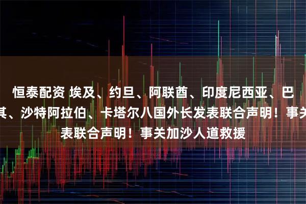 恒泰配资 埃及、约旦、阿联酋、印度尼西亚、巴基斯坦、土耳其、沙特阿拉伯、卡塔尔八国外长发表联合声明！事关加沙人道救援