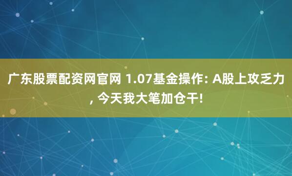 广东股票配资网官网 1.07基金操作: A股上攻乏力, 今天我大笔加仓干!