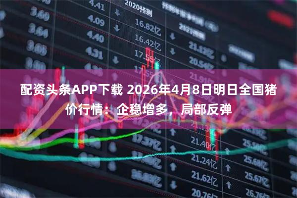 配资头条APP下载 2026年4月8日明日全国猪价行情：企稳增多，局部反弹